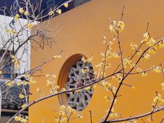 -西园戒幢律寺
