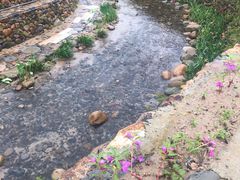 -军营村