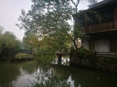 -尚贤河湿地