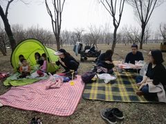 -东郊湿地公园