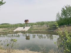 -东郊湿地公园