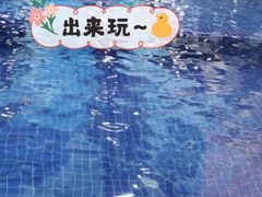 -ABC Swim亲子游泳俱乐部(河西店)