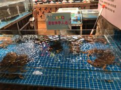 水产区-香山湖家家宴(中山陵店)