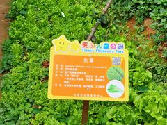 -天河儿童公园