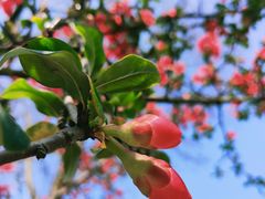 -重庆中央公园(渝北区)