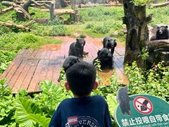 -海南热带野生动植物园