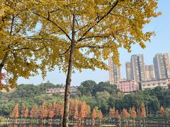 -重庆彩云湖湿地公园