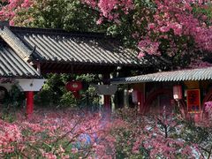 -风云岭森林公园