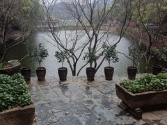 -天怡·鱼工厂(梅溪湖店)
