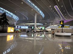 -青岛胶东国际机场