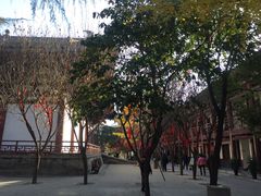 -西安青龙寺遗址景区