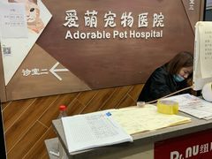 -美联众合宠物医院·爱萌分院·内外科·猫科中心