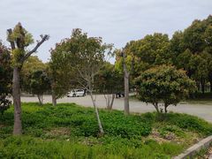 -安飞驰驾校·学车连锁(金高店)