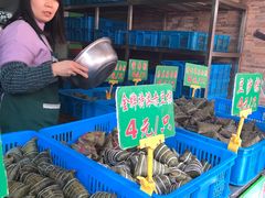 水产区-召稼楼永茂昌粽子大王