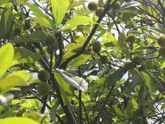 -艾溪湖湿地公园