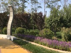 -武清南湖绿博园