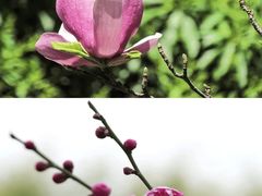 -汇龙潭