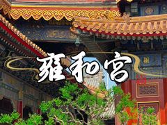 -雍和宫