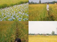 -中国天府农业博览园