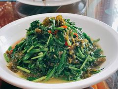 韭菜地衣-木子山庄·安徽省老字号·中国炖锅宴