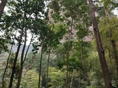 -雁荡山风景名胜区