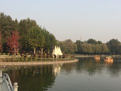 -裕华世纪公园