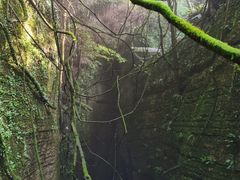 -梦幻奥陶纪景区