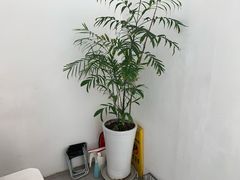 -浆木咖啡馆(湘子庙街店)