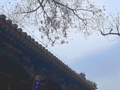 -潭柘寺景区