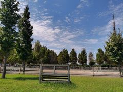 -北京群众马术培训基地