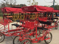 -上海长兴岛郊野公园