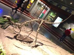 -自贡恐龙博物馆
