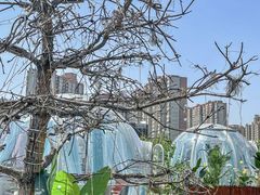 -享月汤皇·海鲜小火锅·聚会(曲江创意谷店)