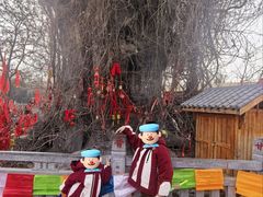 -大槐树寻根祭祖园