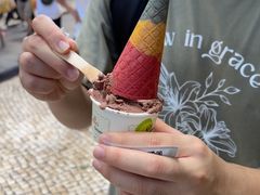 -柠檬车露(卖草地店)