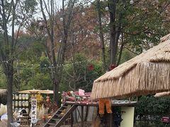 -HERRE·FARM 赫尔露营农场·团建聚会包场