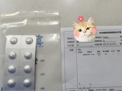 -喜多萌中农锦绣动物医院24H·猫科·牙科MRI·CT