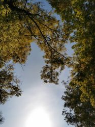 -大望京儿童游乐场