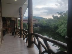 -绿光森林餐厅
