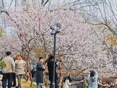 -安定门(地铁站)