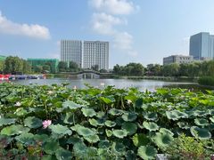 -西海子公园