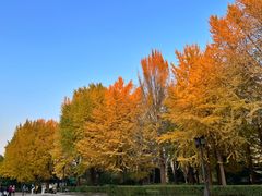 -玲珑塔公园