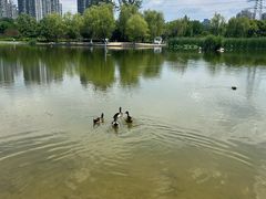 -太阳宫公园