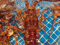 -海月轩海鲜豆捞(紫金塔店)