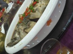 -金星大酒店(东街店)