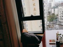 -上海圣淘沙万怡酒店