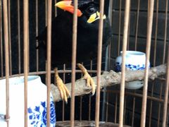 -到家尝北京菜(西坝河店)