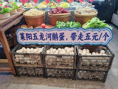 -单家老院·院子里的青岛菜(沙子口店)