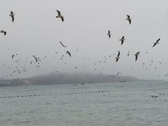 -青岛第一海水浴场