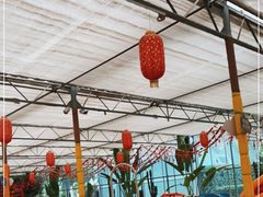 -南宫五洲植物乐园